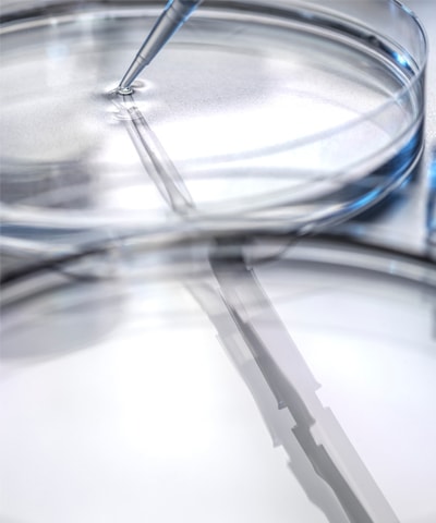 Cells being prepared in the laboratory