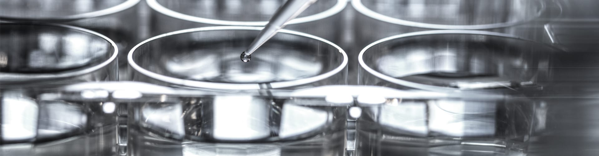 Schwarzweißaufnahme von Laborschalen und einer Pipette